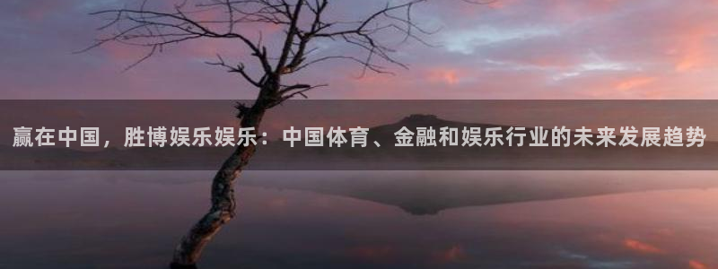 sunbet申慱官网：赢在中国，胜博娱乐娱乐：中国体育、金融和娱乐行业的未来发展趋势