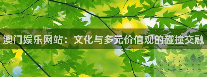 sunbet申搏888：澳门娱乐网站：文化与多元价值观的碰撞交融