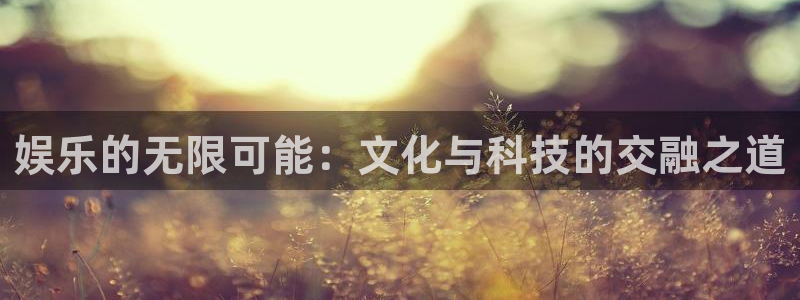 sunbet官网手机版：娱乐的无限可能：文化与科技的交融之道