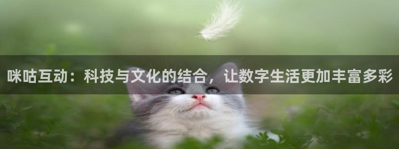 申慱sunbet苹果app：咪咕互动：科技与文化的结合，让数字生活更加丰富多彩