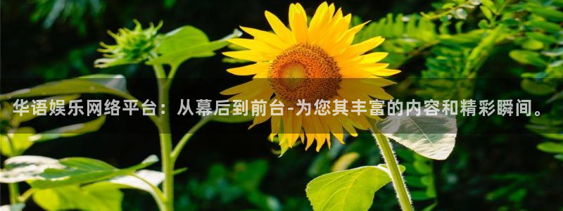 申慱sunbet苹果app：华语娱乐网络平台：从幕后到前台-为您其丰富的内容和精彩瞬间。