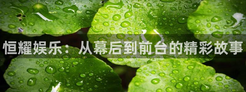 申慱sunbet苹果app：恒耀娱乐：从幕后到前台的精彩故事