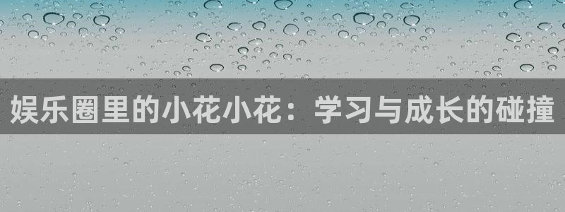 申慱sunbet手机版登管理网：娱乐圈里的小花小花：学习与成长的碰撞