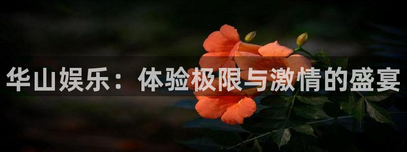sunbet(中国区)官方网站：华山娱乐：体验极限与激情的盛宴