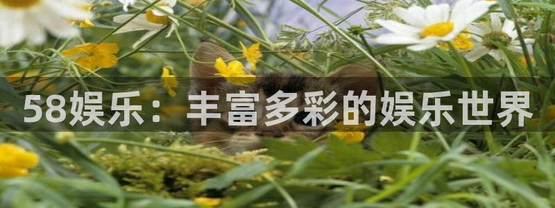 申慱sunbet手机版登管理网：58娱乐：丰富多彩的娱乐世界