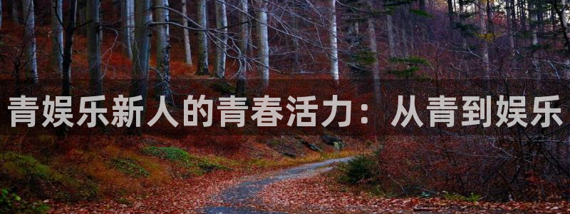 sunbet申搏