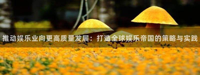 申慱sunbet苹果app：推动娱乐业向更高质量发展：打造全球娱乐帝国的策略与实践