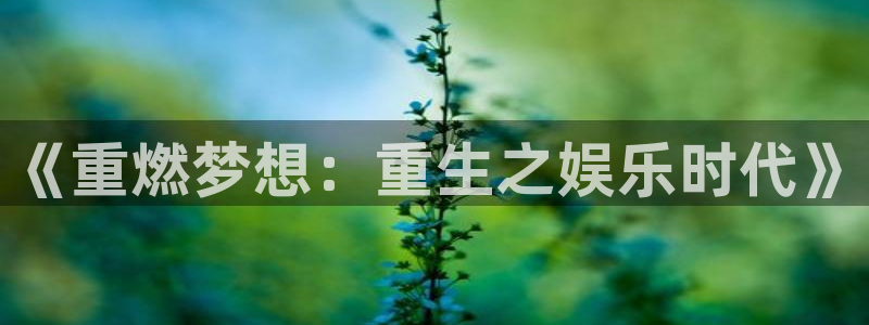 sunbet申搏888：《重燃梦想：重生之娱乐时代》
