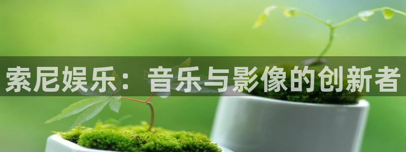 sunbet(中国区)官方网站：索尼娱乐：音乐与影像的创新者