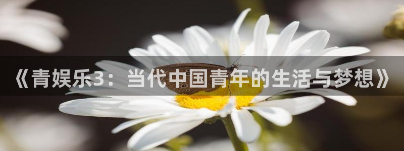 sunbet集团中国官网入口：《青娱乐3：当代中国青年的生活与梦想》
