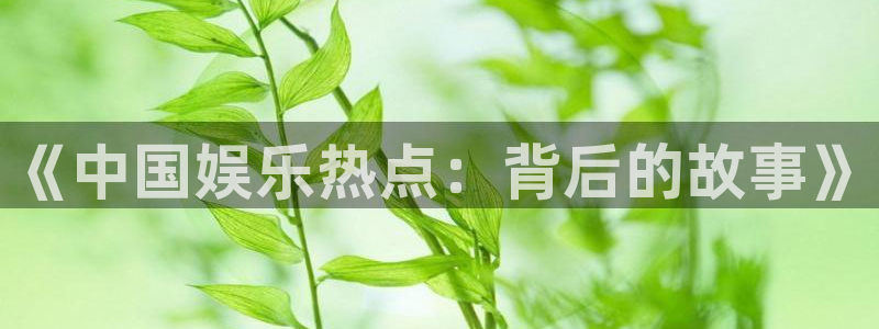 sunbet(中国区)官方网站：《中国娱乐热点：背后的故事》