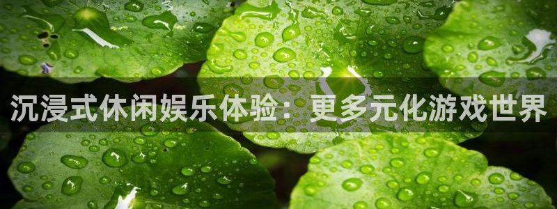 sunbet申搏888：沉浸式休闲娱乐体验：更多元化游戏世界