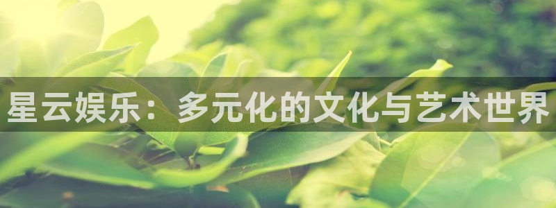申慱sunbet手机版登管理网：星云娱乐：多元化的文化与艺术世界