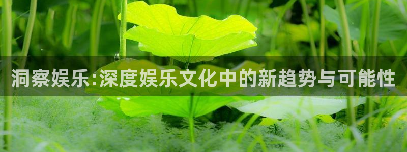 申慱sunbet苹果app：洞察娱乐:深度娱乐文化中的新趋势与可能性