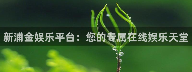 sunbet申搏：新浦金娱乐平台：您的专属在线娱乐天堂